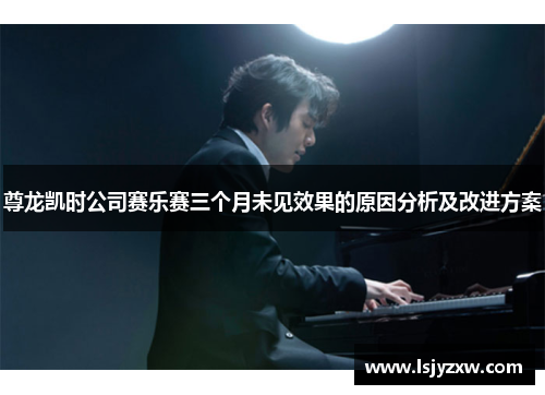尊龙凯时公司赛乐赛三个月未见效果的原因分析及改进方案