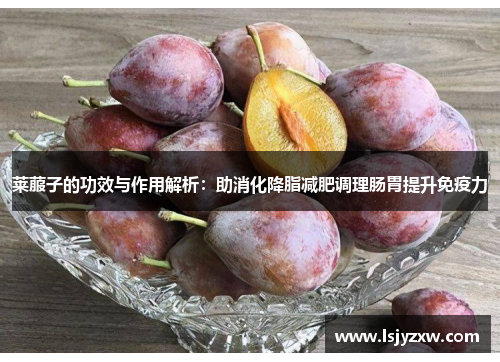 莱菔子的功效与作用解析：助消化降脂减肥调理肠胃提升免疫力