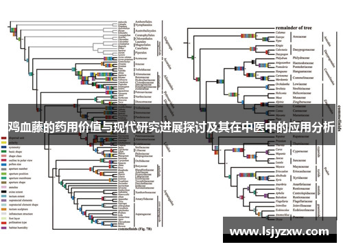鸡血藤的药用价值与现代研究进展探讨及其在中医中的应用分析